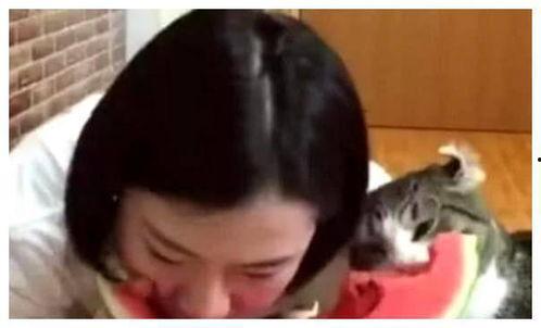 王家二小姐吃瓜视频,揭秘娱乐圈幕后真相