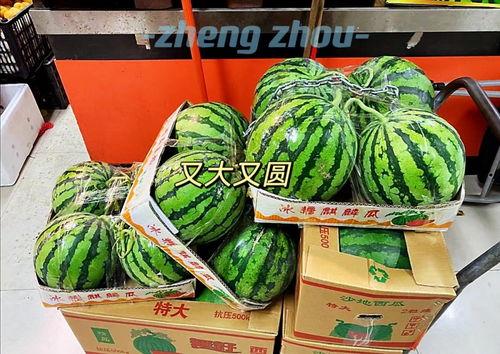 郑州最新吃瓜事件