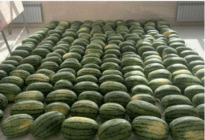 安徽校园吃瓜,揭秘校园里的那些“热辣”话题